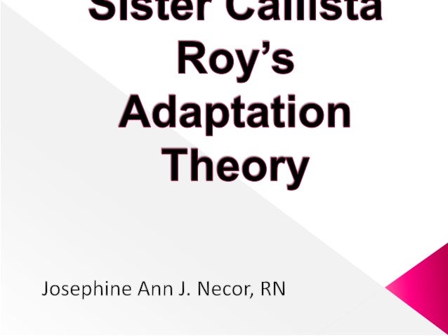 callista roy adaptation theory
